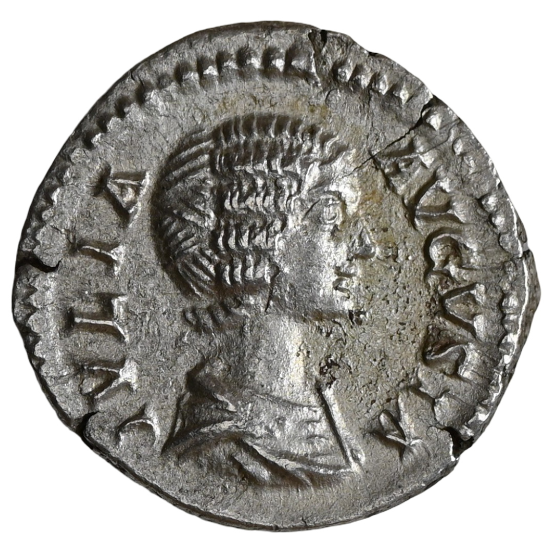 Ancient Roman Empire Silver Darius