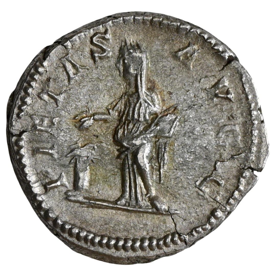 Ancient Roman Empire Silver Darius