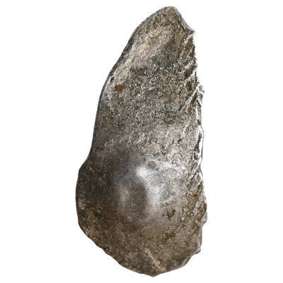 Early Northern Trade Coinage, Narhan-Chirand-Muzaffarpur Culture, Attributed To Shakya Janapada, Silver 32 Mashakas (c. 440-400 BC)