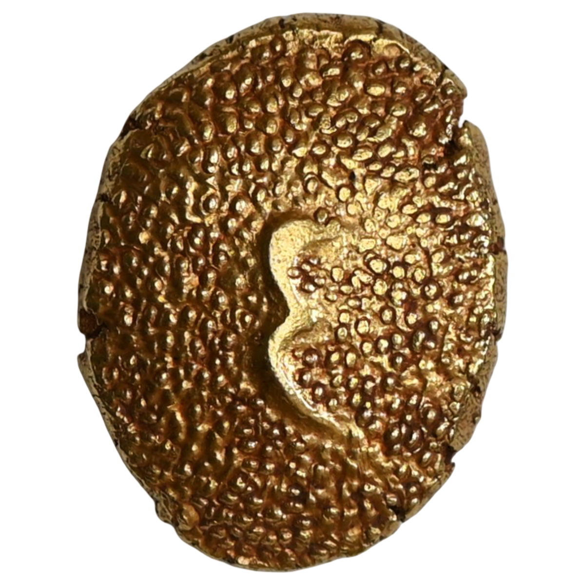 Arcot (Carnatic), Umdat ul-Umara (AD 1795–1801) Gold Pagoda (Ain Pagoda)