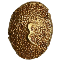Arcot (Carnatic), Umdat ul-Umara (AD 1795–1801) Gold Pagoda (Ain Pagoda)